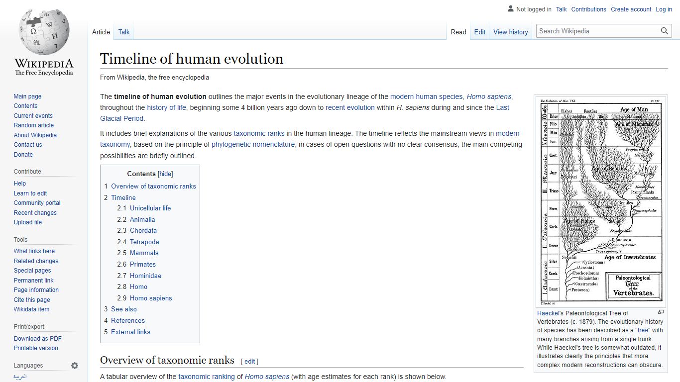 Timeline of human evolution - Wikipedia